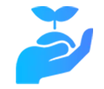 ses